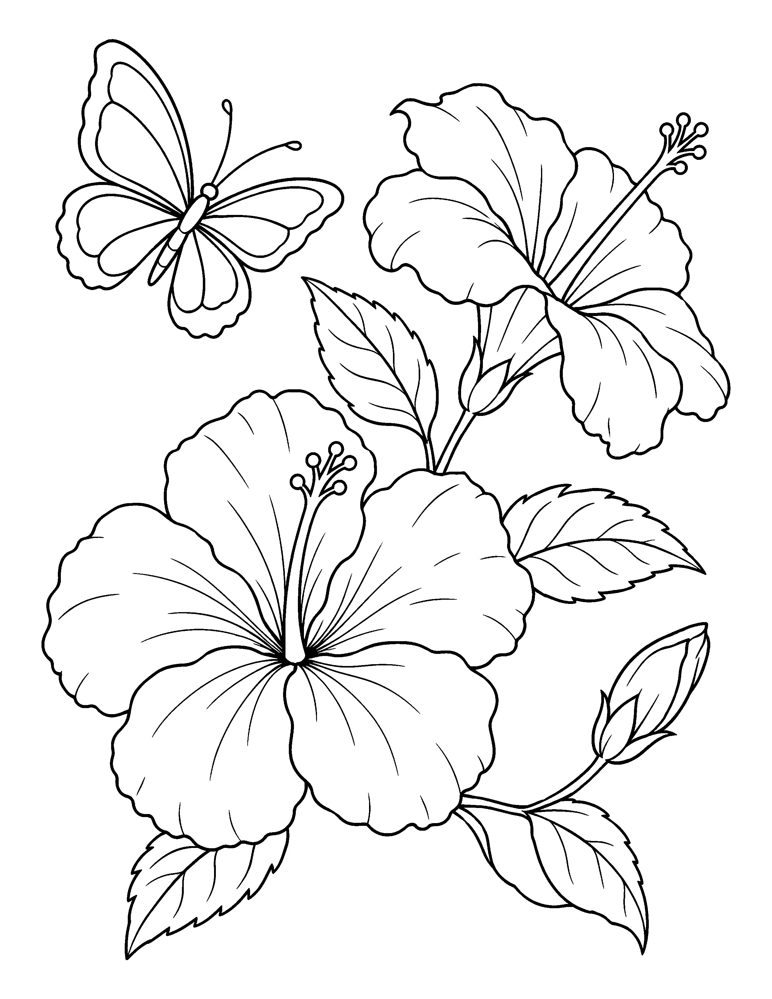 A black-and-white coloring page shows two hibiscus blooms, leafy stems, a flower bud, and one butterfly.