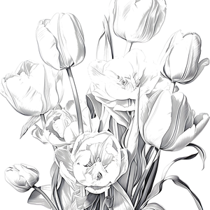 FREE Tulip Bouquet Coloring Page - Printable Download ⛰️