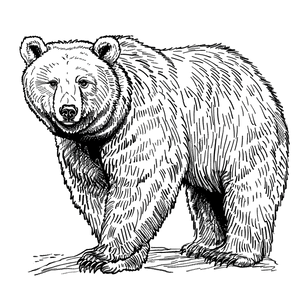 FREE Grizzly Bear Coloring Page - Detailed Black and White Sketch - Download NOW 🐾