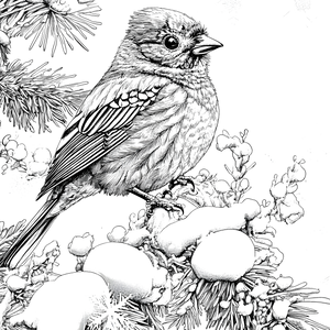 FREE Bird on Snowy Branch Coloring Page - Printable Download 🐾