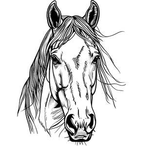 FREE Horse Head Coloring Page - Printable Download 🐾