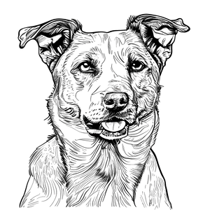 FREE Dog Face Coloring Page - Download NOW 🐾