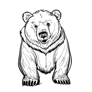 FREE Grizzly Bear Coloring Page Download 🐾