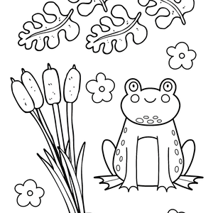 FREE Frog by the Pond Coloring Page Download NOW ⛰️