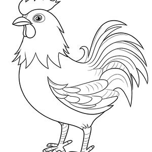 FREE Rooster Coloring Page Download NOW 🐾
