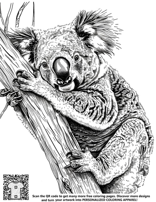 FREE Koala Bear Coloring Page - Download NOW