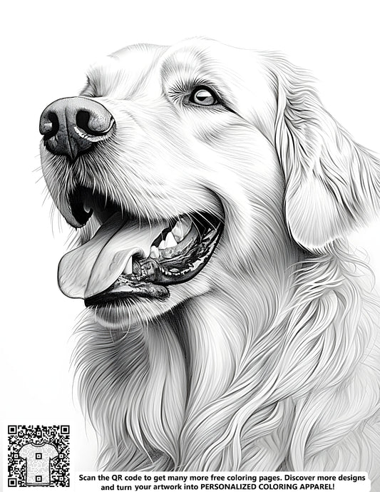 FREE Golden Retriever Coloring Page - Detailed Black-and-White Drawing - Download NOW