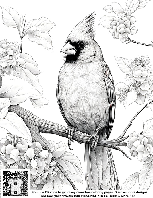 FREE Cardinal Bird Coloring Page - Printable Download