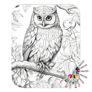 Animal coloring blanket design